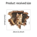 Dimensions du sticker chat 3D montrant une largeur de 29cm et une hauteur de 25cm - Style Chat Tigré Brun (fun-f83)