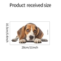Detaillierte Maßangaben für fun-f101 Beagle Welpen Deko Glasfenster Aufkleber - 16.5*28cm (fun-f101)
