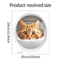 Detailed dimension guide for 3D orange cat wall sticker measuring 25cm x 29cm - Orange Cat Peeking (fun-m128)