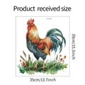 Detailed size chart for watercolor rooster wall sticker measuring 35cm x 39cm for home decor - Painted Rooster (fun-f147)