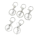 Fünf silberne Karabinerverschlüsse mit Ketten und Schlüsselringen auf weißem Grund - Mehrgliedrige Kette Stil / Silber