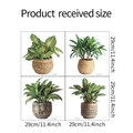Maatdetails van vier raamstickers met groene potplanten van 29cm met afmetingen - Groene Planten Potcombinatie (JD027)