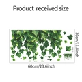 Diagramme technique détaillé des stickers vigne verte avec dimensions de 30x60cm - Style Standard (fun-JD042)