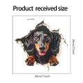 Detail view of 3D lifelike dachshund wall sticker showing real size 28cm x 28cm dimensions - Dachshund Pattern (fun-f294) / 28*28cm