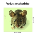 Maßzeichnung für den im Dunkeln leuchtenden Maus-Wandtattoo in 30 cm mal 25 cm - 25*30CM / fun-yg008 Grünes Leuchten