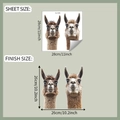 Detail view of alpaca wall stickers showing 28x28cm sheet and 26x26cm finish size - 28*28cm/fun-f438 UV Transparent