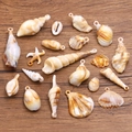 Assortiment de breloques étoiles de mer et coquillages en acrylique pour bijoux DIY - Mélange Aléatoire 30g