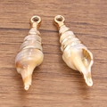 Set of two golden rimmed conch shell pendants for jewelry making on dark wood base - Laser Gold No.5 Seashell 13X39mm 2.6g