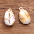 Paire de pendentifs en acrylique en forme de coquillage cauri pour bijoux DIY créatifs - Coquillage No 15 / 17x32mm