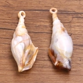 Pendentifs de conque en acrylique pour bijoux DIY avec un design en spirale marron naturel - Coquillage No 19 / 16X57mm