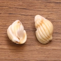 Pendentifs en forme de coquille en acrylique ambre et crème pour bijoux DIY - Coquillage No 27 / 13x20mm