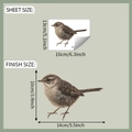 Vogel muursticker velformaat 16x13cm en eindformaat 14x10cm met mus ontwerp - 13x16cm