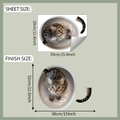 Gedetailleerde afmetingen van het stickervel en eindresultaat voor de kattenmuursticker - 29x35cm