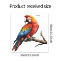 Detailed size chart of parrot wall sticker showing 39x40cm dimensions for home decor - 39*40CM