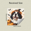 Detailed view of Halloween Bernese Mountain Dog dishwasher magnet sticker sized 34x34cm - 34*34cm/fun-f771 107 Milky White