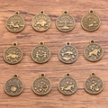 Detailed view of 12 vintage bronze zodiac charms displayed on a rustic wood surface - Antique Bronze Set
