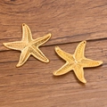 Colgante de estrella de mar dorada en acero inoxidable 304 con textura granulada - No.4 Dorado