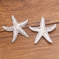 Colgante de estrella de mar en acero plateado con textura sobre fondo de madera - Estilo 5 Color Acero