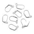 Polierte silberne Edelstahl Klappbrisuren für die DIY Schmuckherstellung von Ohrringen - D-Ring Verschluss / 12x17mm / Stahlfarben