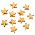 DIY starfish bead charms in vacuum plated gold finish for ocean jewelry making - Starfish Gold (10X10mm)
