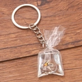Transparent PVC bag keychain with miniature colored angelfish and liquid on wood - Angel Fish Liquid Bag #6