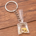 Creative resin goldfish in a clear plastic bag keychain with silver ring and yellow fish - Yellow Koi Liquid Bag