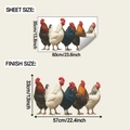 Adesivi murali con vari galli che mostrano le dimensioni del foglio e il formato finale - Modello di Pollame Gallo Realistico / 35x60cm