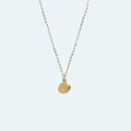 Delicate gold-tone titanium necklace featuring a detailed seashell pendant for women - Small Shell / Gold (18K)