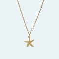 Golden starfish pendant necklace with textured detail and elegant thin O-chain - Large Starfish / Gold (18K)
