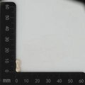 Detailed measurement of gold zircon butterfly connector charm showing 15mm length - Gold I