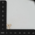 Detailed size measurement of golden letter Y charm with sparkling zircons, 13mm height - Gold Y