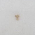 Macro shot of gold-plated T-shaped letter charm with sparkling cubic zirconia stones - Letter T Pendant
