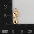 Makroansicht des 15mm goldfarbenen Buchstabe-F-Anhängers mit Maßstab zur Größenbestimmung - Buchstabe F