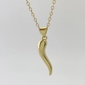 Macro detail of a polished golden Cornicello chili pepper pendant on an O-link chain - Gold