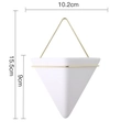 Minimalist white ceramic triangle wall planter with gold frame dimensions 10.2x15.5cm - Small Triangle White Pot Gold Rack