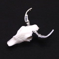 Detailed view of resin bull skull pendant with silver electroplated horns and bone texture - White with Silver Horns Bull Style (2)