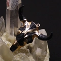 Macro shot of brown acrylic bull head pendant with gold electroplated edges on crystal - 46x50mm / Matte Black & Gold (No. 4)