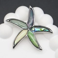 Dettaglio della spilla a stella marina con intarsio in madreperla e metallo argento - Stella Marina Multicolore Iridescente