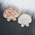 Detail of natural gradient shell pendants with golden electroplated edges and metal loops - Pink-Purple Striated (Style 5)
