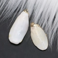 Détail macro de deux pendentifs en coquillage naturel avec bords dorés pour bijoux DIY - Ensemble en Coquillage Blanc Naturel (N° 2)