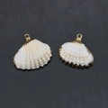 Vue détaillée de deux pendentifs en coquille naturelle blanche avec bordure dorée - Style Coquillage Blanc Crème (N° 5)