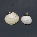 Détail de pendentifs en coquillage naturel blanc avec bords dorés et boucles métalliques - Lot de coquillages de tailles mixtes (n° 3)