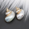 Macro detail of natural shell pendants with gold plated edges and metal hanging loops - Style 30