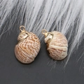 Natural sea shell pendants with golden metal edges and brown spotted texture for DIY jewelry - Style 24