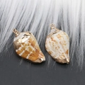 Set of two natural seashells with gold electroplated edges and integrated loop hangers - Style 27