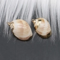 Natural conch shell pendant with gold electroplated edges for DIY jewelry making - Style 29