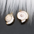 Natural conch pendants with gold electroplated edges and metal loops for jewelry DIY - Style 56