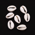 Close-up of seven polished white natural cowrie shells for DIY jewelry on black surface - 13x20mm / White