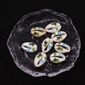 Natural sea shell beads with turtle prints in a glass tray for DIY jewelry making - Style 1 (Sea Turtle Starfish Fish) / 20 Pieces Set