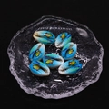 Detailed view of hand-painted turtle motifs on natural seashell beads for DIY jewelry - Style 4 (Light Blue Turtle Pattern) / 20 Pieces Set